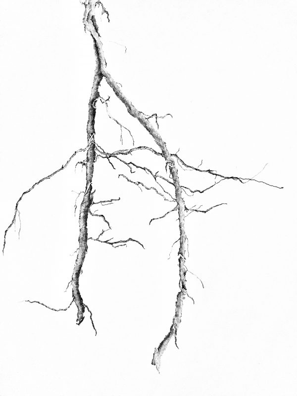 Suspension