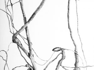 La nature reprend ses droits