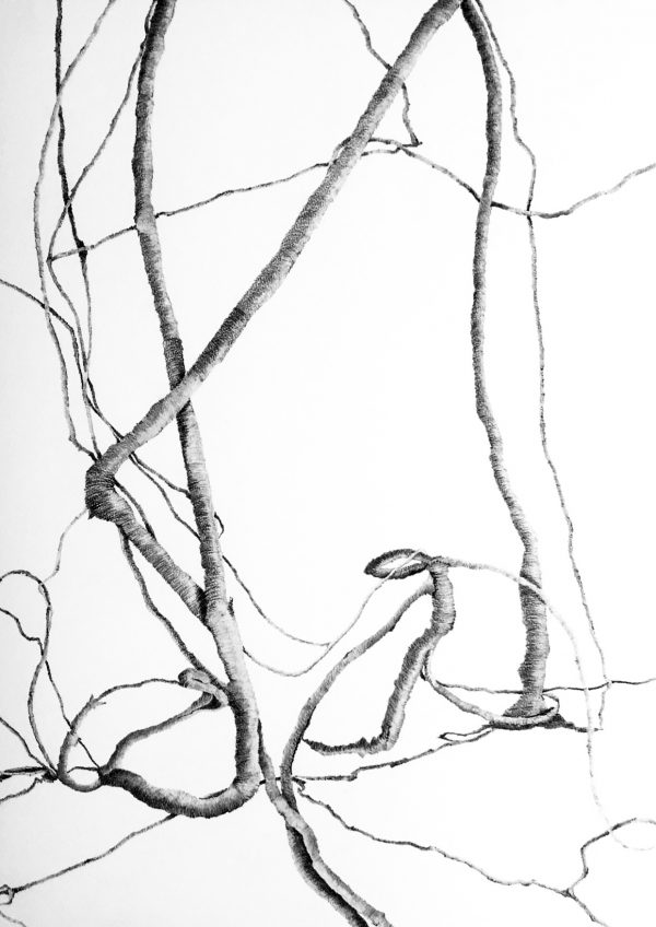 La nature reprend ses droits